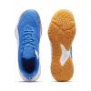 Puma Solarflash III indoor shoes 107850-03