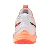 Mizuno WAVE MOMENTUM ELITE indoor shoes V1GA2512-80