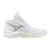 Mizuno WAVE MOMENTUM PRO MID дамски обувки за зала V1GC2545-85