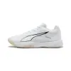 Puma Accelerate Pro 5 indoor shoes 109018-02