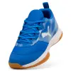 Puma Varion 3 junior indoor shoes 109097-03