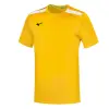 Mizuno Performance Crew kid's shirt