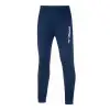 Mizuno Sendai training pant