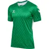hummel hmlMATCH LEGEND S/S тениска