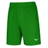 Mizuno Trad Shukyu shorts
