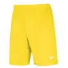 Mizuno Trad Shukyu shorts