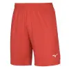 Mizuno Trad Shukyu shorts