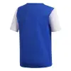 Adidas ESTRO 19 junior tshirt