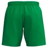 Erima CALCUTTA Shorts