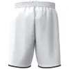 Erima WINGS Shorts without inner slip
