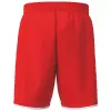 Erima WINGS Shorts without inner slip