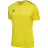 hummel HMLAUTHENTIC PL JERSEY S/S