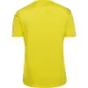 hummel HMLAUTHENTIC PL JERSEY S/S