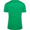 hummel HMLAUTHENTIC PL JERSEY S/S
