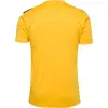 hummel HMLAUTHENTIC PL JERSEY S/S