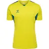 hummel HMLAUTHENTIC PL JERSEY S/S