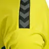hummel HMLAUTHENTIC PL JERSEY S/S