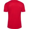 hummel HMLAUTHENTIC PL JERSEY S/S
