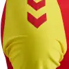 hummel hmlMATCH LEAGUE JERSEY S/S