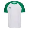 hummel hmlMATCH LEAGUE S/S детска тениска