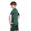 Adidas TIRO25 Competition детска тениска