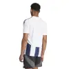 Adidas STRIPED 24 Match jersey