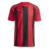 Adidas STRIPED 24 Match тениска