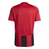 Adidas STRIPED 24 Match jersey