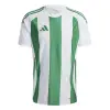 Adidas STRIPED 24 Match тениска