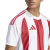 Adidas STRIPED 24 Match тениска