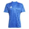 Adidas Team Icon 25 Match jersey