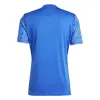 Adidas Team Icon 25 Match jersey