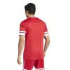 Adidas Squadra 25 Match jersey