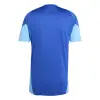 Adidas TIRO25 Competition Match jersey
