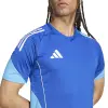 Adidas TIRO25 Competition Match jersey
