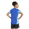 Adidas TIRO25 Competition Match дамска тениска