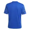 Adidas Team Icon 25 Match детска тениска