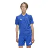 Adidas Team Icon 25 Match детска тениска