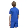 Adidas Team Icon 25 Match детска тениска