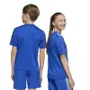 Adidas Team Icon 25 Match junior jersey