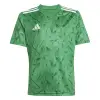 Adidas Team Icon 25 Match junior jersey