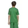 Adidas Team Icon 25 Match junior jersey