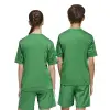 Adidas Team Icon 25 Match junior jersey