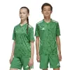 Adidas Team Icon 25 Match junior jersey