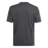 Adidas Team Icon 25 Match junior jersey