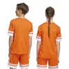 Adidas Squadra 25 Match junior jersey