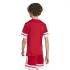 Adidas Squadra 25 Match детска тениска