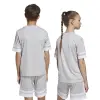Adidas Squadra 25 Match детска тениска
