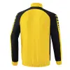 Erima Six Wings training top
